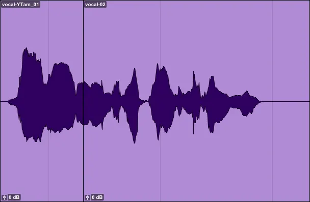Auto-Tuned, unedited